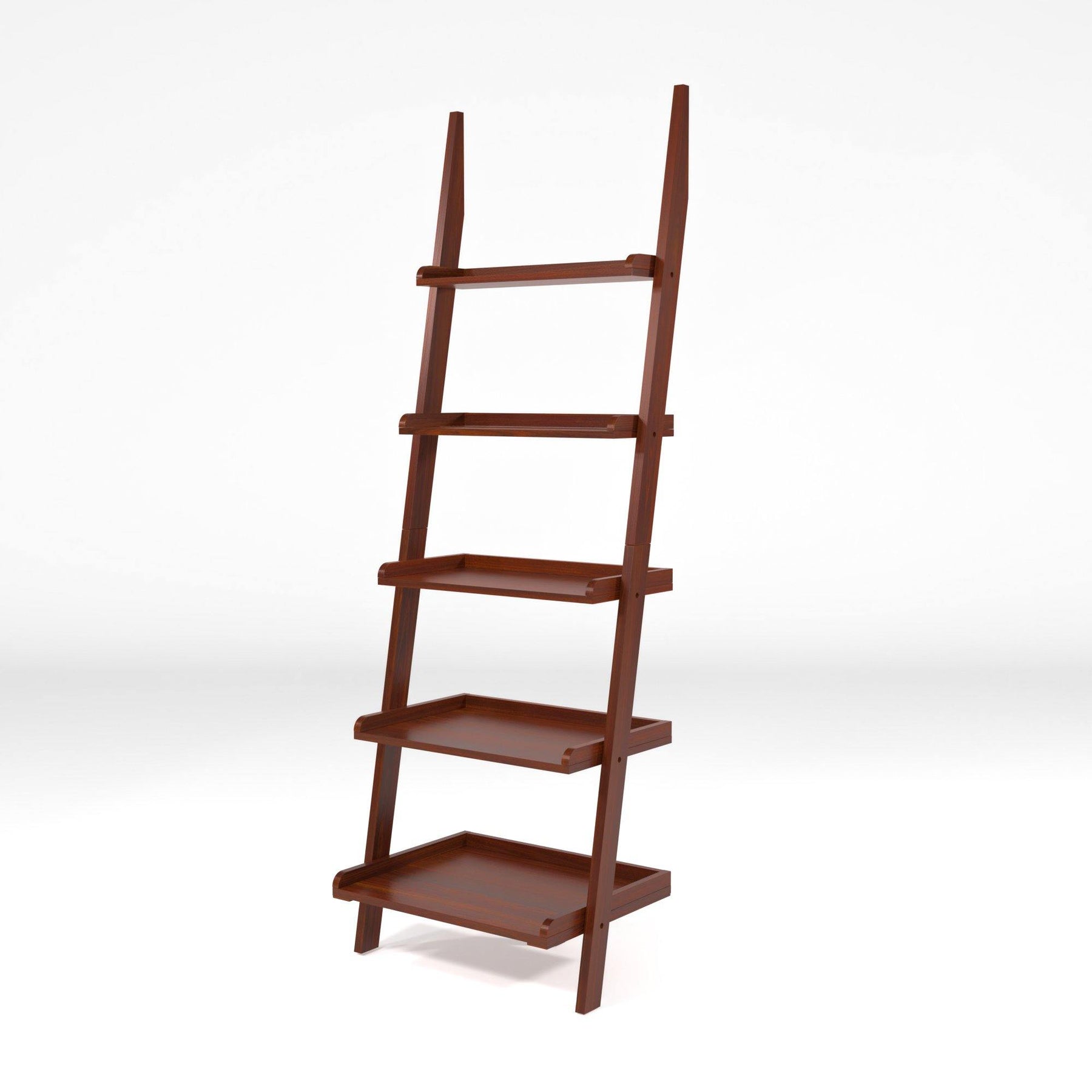 Skyline Decor-Zavala Contemporary Style Leaning Ladder Display Case in ...