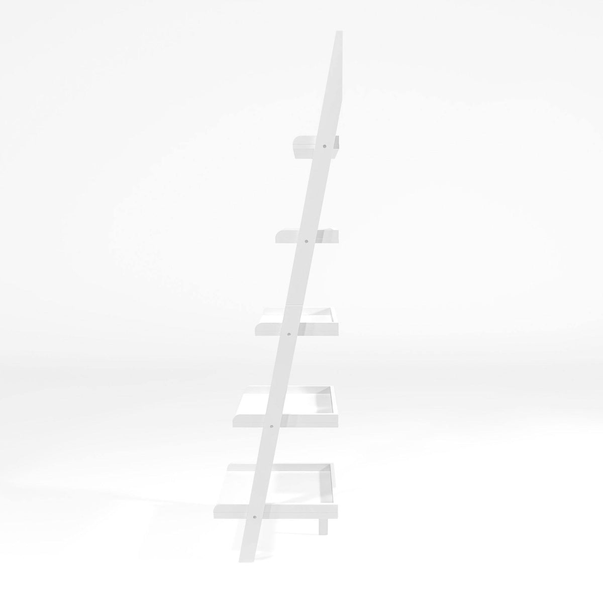 Skyline Decor-Zavala Contemporary Style Leaning Ladder Display Case in ...